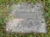 image of grave number 504547